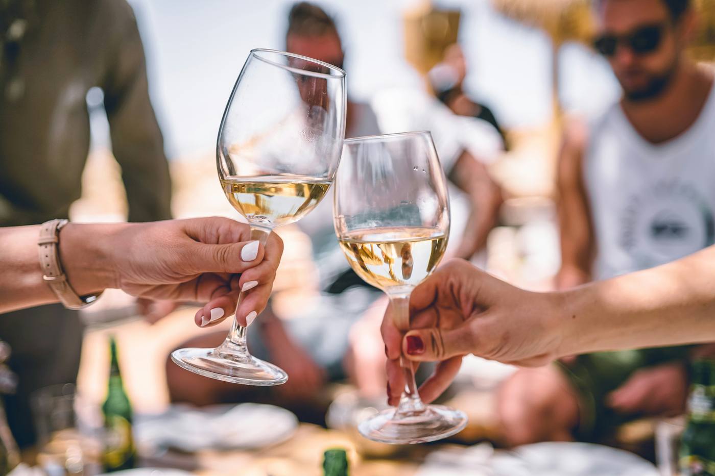 Wine Tasting in the Winelands
