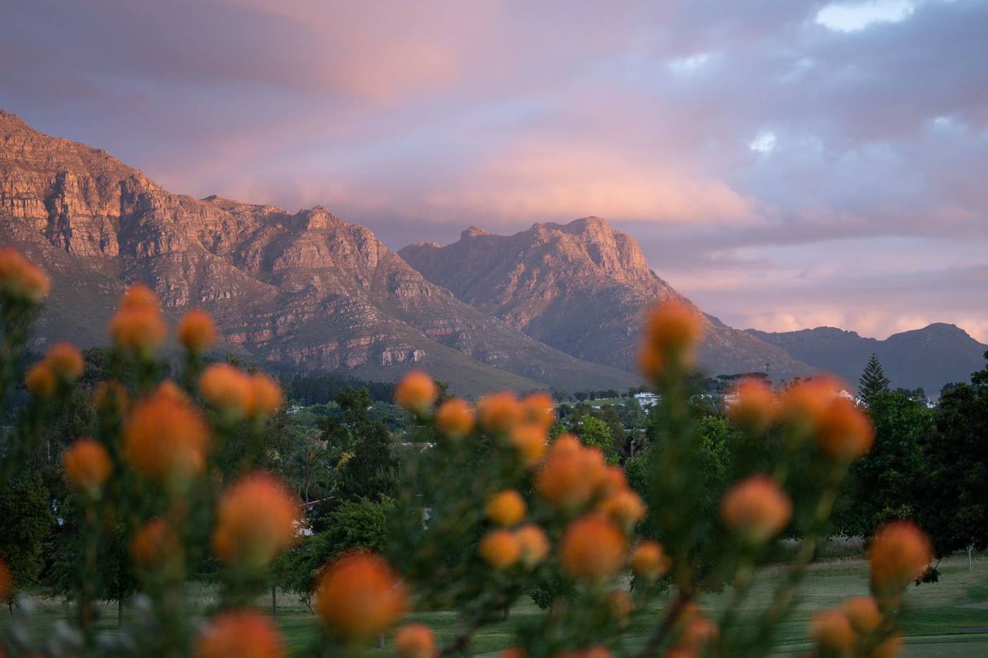 Stellenbosch Golf Club green at dusk