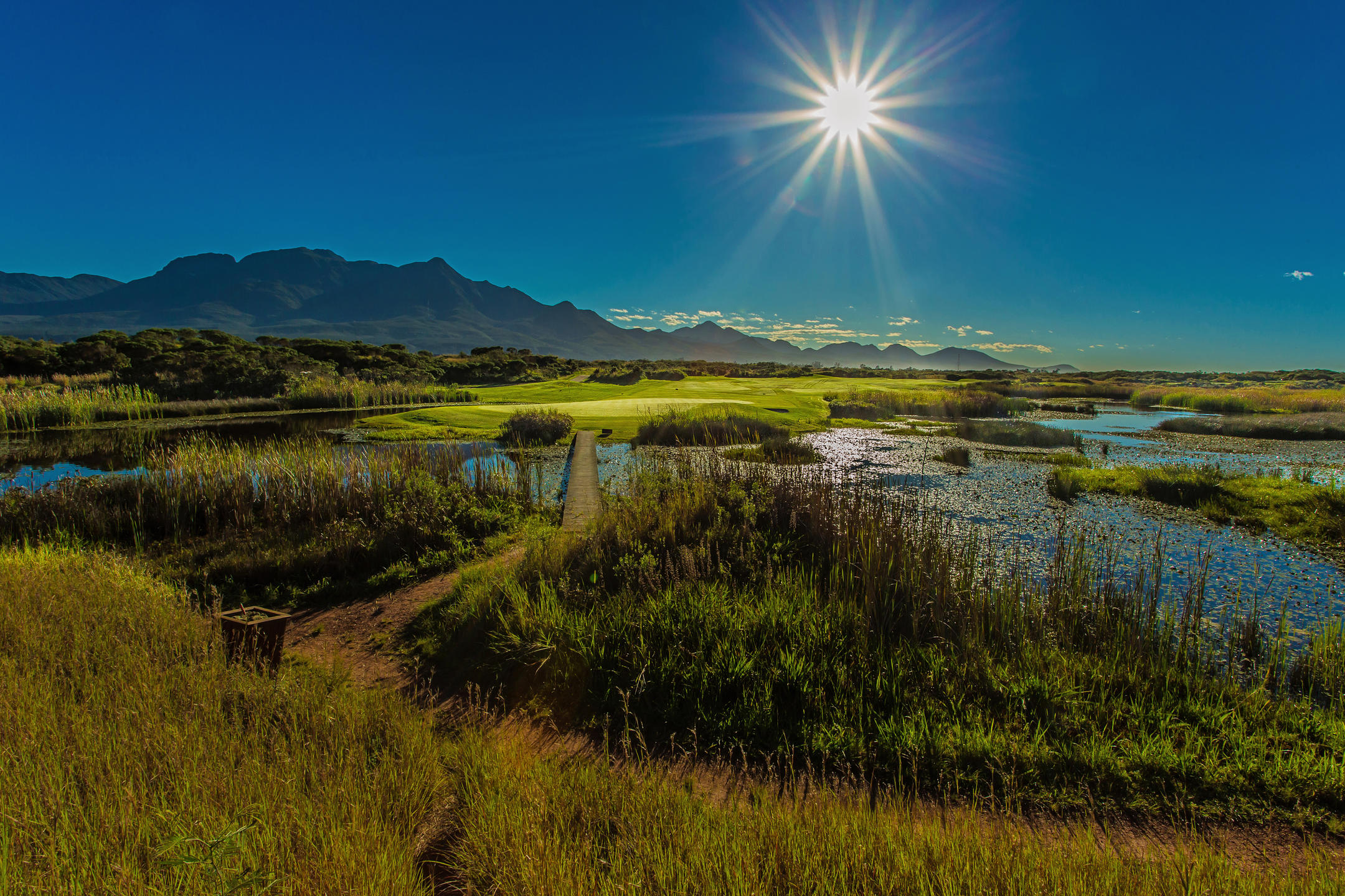 The Links at Fancourt